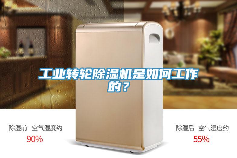 工業(yè)轉(zhuǎn)輪除濕機是如何工作的？