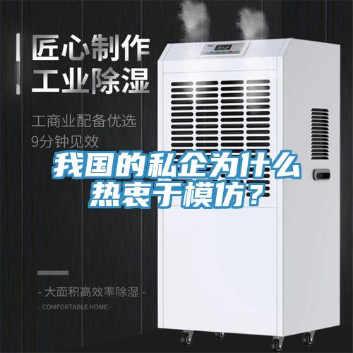 我國的私企為什么熱衷于模仿？