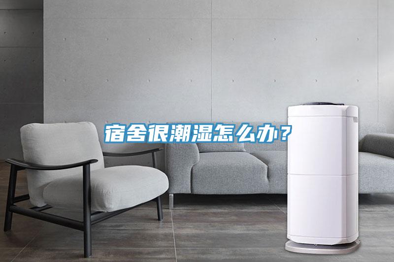 宿舍很潮濕怎么辦？
