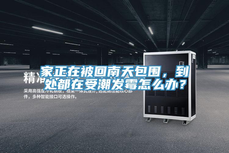 家正在被回南天包圍，到處都在受潮發(fā)霉怎么辦？