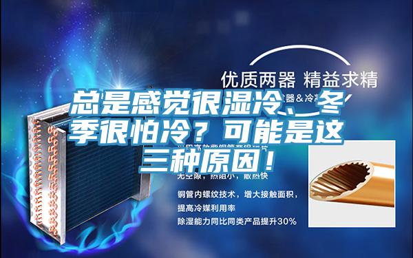 總是感覺(jué)很濕冷、冬季很怕冷？可能是這三種原因！