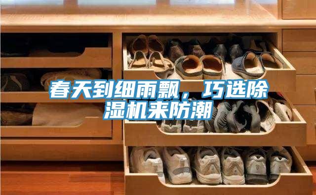 春天到細(xì)雨飄，巧選除濕機(jī)來防潮