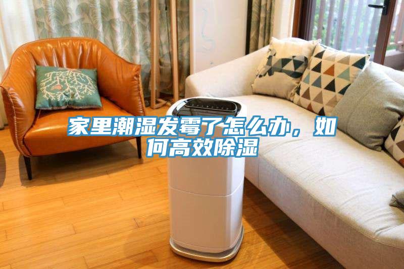 家里潮濕發(fā)霉了怎么辦，如何高效除濕