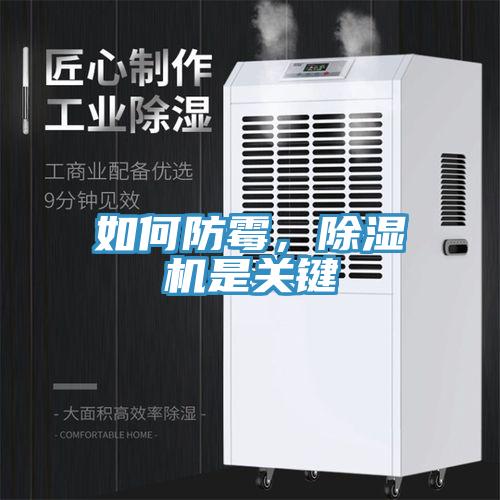 如何防霉，除濕機(jī)是關(guān)鍵