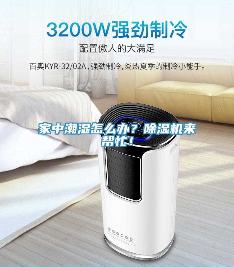 家中潮濕怎么辦？除濕機(jī)來幫忙！