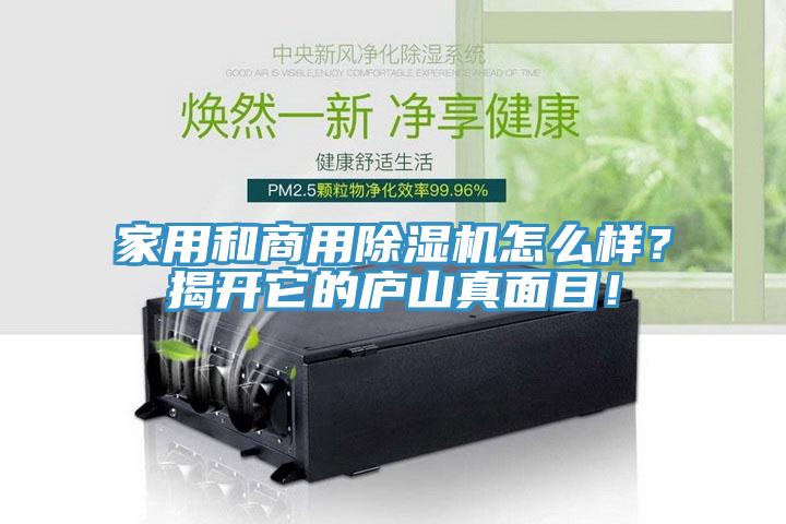 家用和商用除濕機怎么樣？揭開它的廬山真面目！