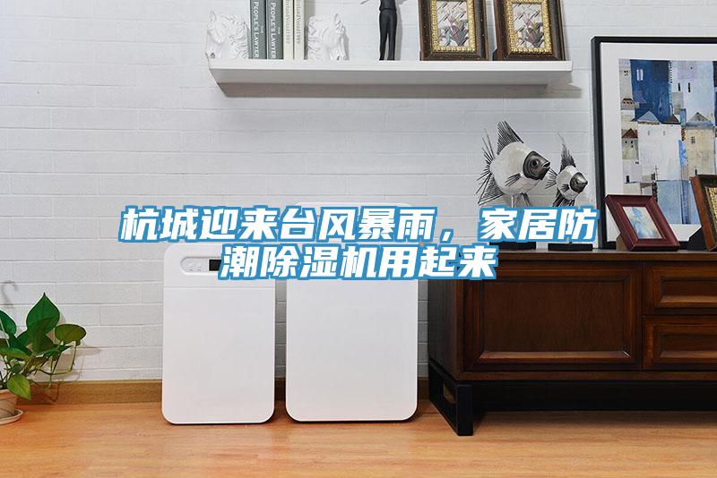 杭城迎來臺風暴雨，家居防潮除濕機用起來