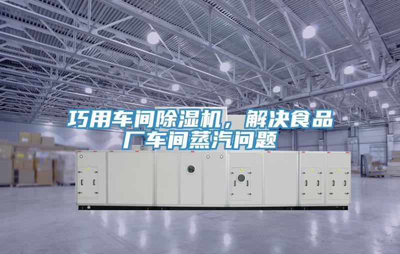 巧用車間除濕機(jī)，解決食品廠車間蒸汽問題