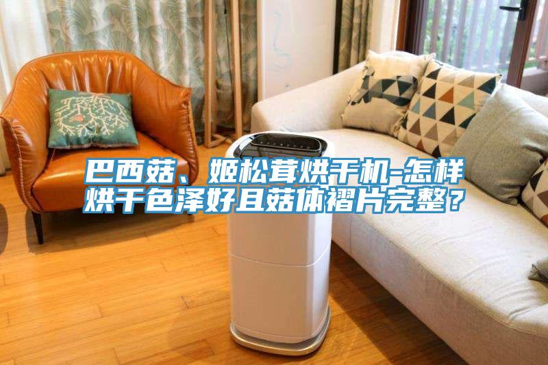 巴西菇、姬松茸烘干機(jī)-怎樣烘干色澤好且菇體褶片完整？