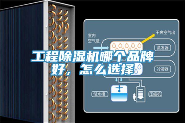 工程除濕機(jī)哪個(gè)品牌好，怎么選擇