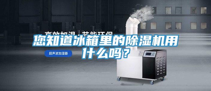 您知道冰箱里的除濕機(jī)用什么嗎？