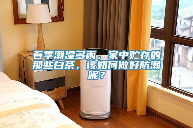 春季潮濕多雨，家中貯存的那些白茶，該如何做好防潮呢？