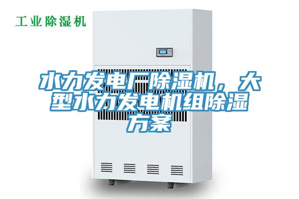 水力發(fā)電廠除濕機(jī)，大型水力發(fā)電機(jī)組除濕方案