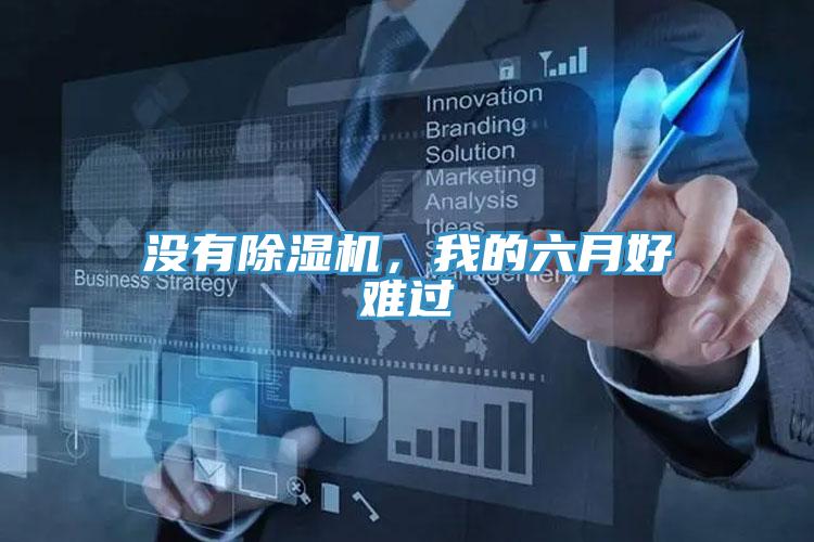 沒(méi)有除濕機(jī)，我的六月好難過(guò)