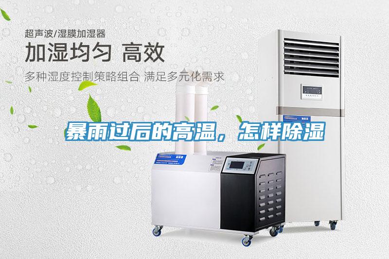 暴雨過后的高溫，怎樣除濕