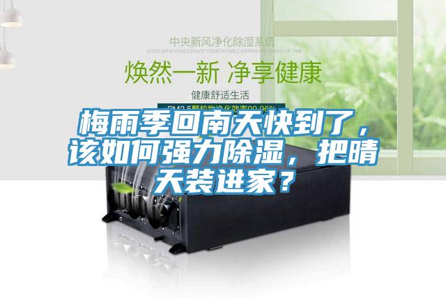 梅雨季回南天快到了，該如何強(qiáng)力除濕，把晴天裝進(jìn)家？