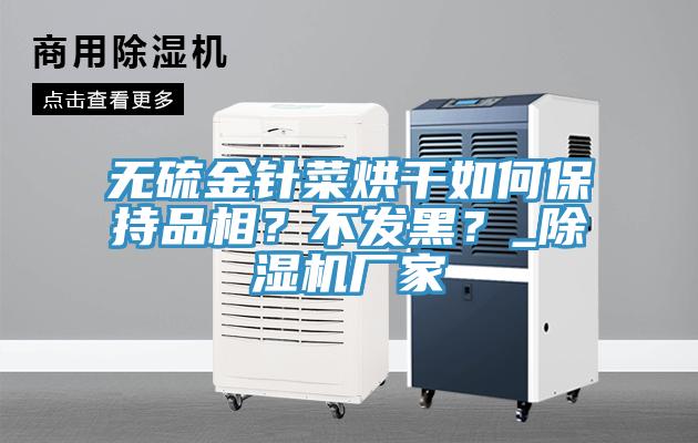 無(wú)硫金針菜烘干如何保持品相？不發(fā)黑？_除濕機(jī)廠家