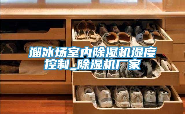 溜冰場(chǎng)室內(nèi)除濕機(jī)濕度控制_除濕機(jī)廠家