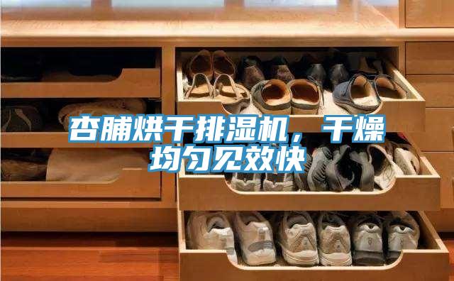 杏脯烘干排濕機(jī)，干燥均勻見(jiàn)效快