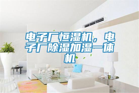 電子廠恒濕機，電子廠除濕加濕一體機