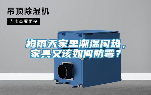 梅雨天家里潮濕悶熱，家具又該如何防霉？