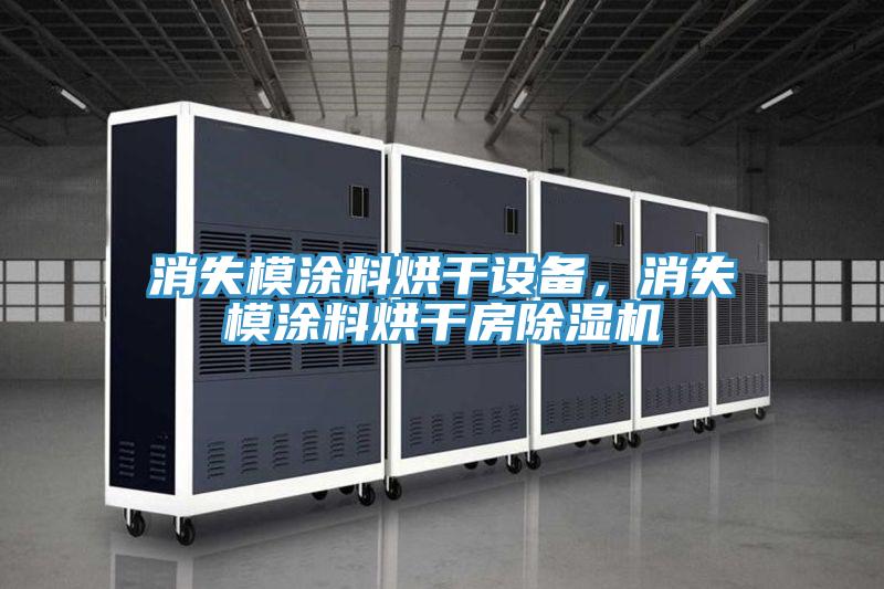 消失模涂料烘干設(shè)備，消失模涂料烘干房除濕機