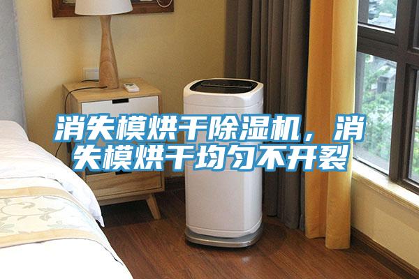 消失模烘干除濕機(jī)，消失模烘干均勻不開裂