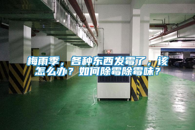梅雨季，各種東西發(fā)霉了，該怎么辦？如何除霉除霉味？