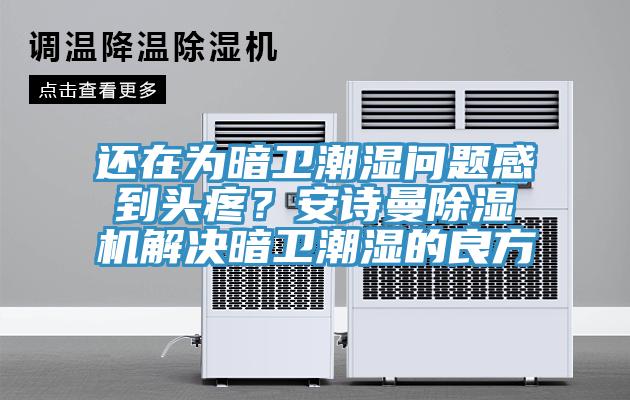 還在為暗衛(wèi)潮濕問題感到頭疼？安詩曼除濕機(jī)解決暗衛(wèi)潮濕的良方