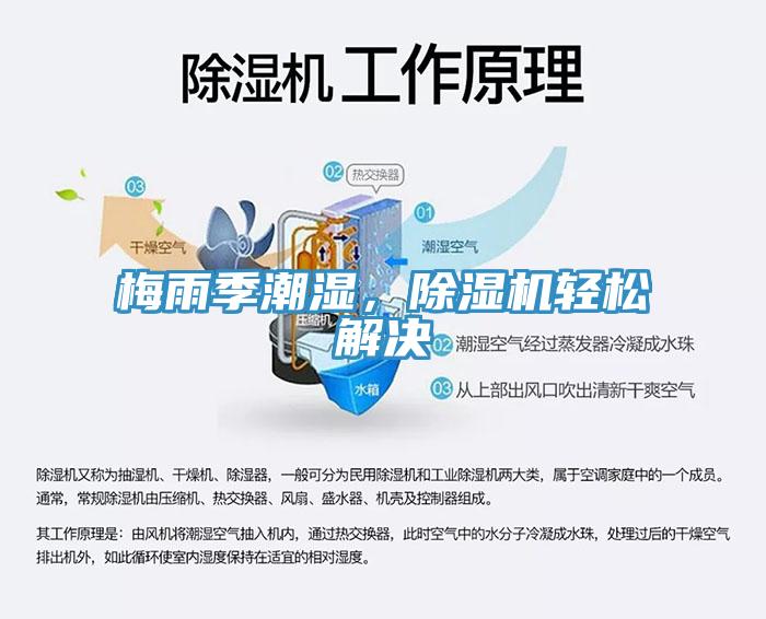 梅雨季潮濕，除濕機(jī)輕松解決