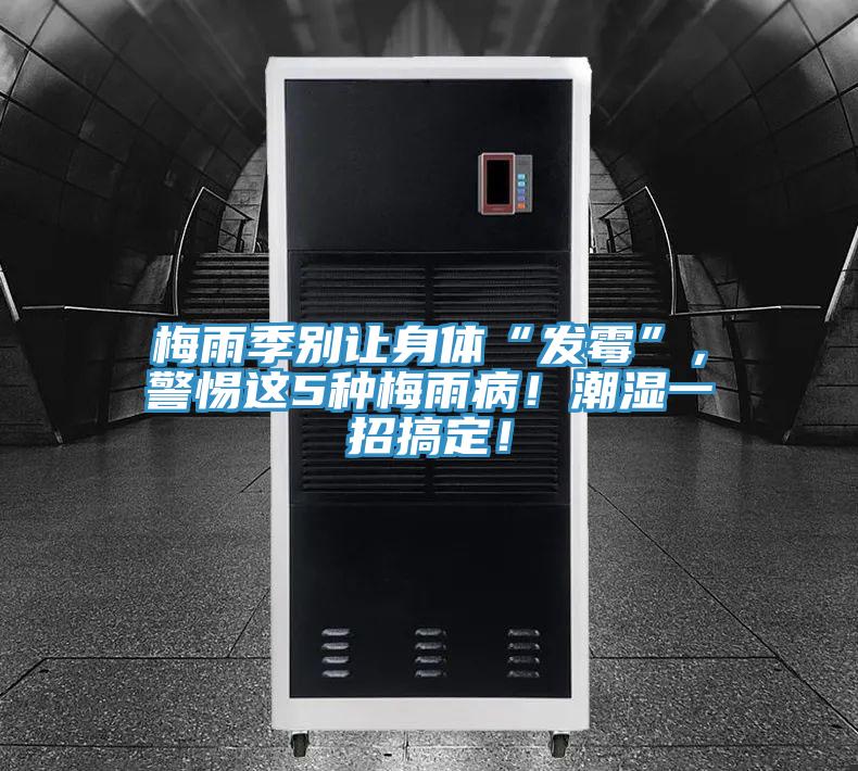 梅雨季別讓身體“發(fā)霉”，警惕這5種梅雨??！潮濕一招搞定！