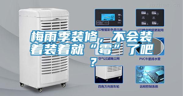梅雨季裝修，不會裝著裝著就“霉”了吧？