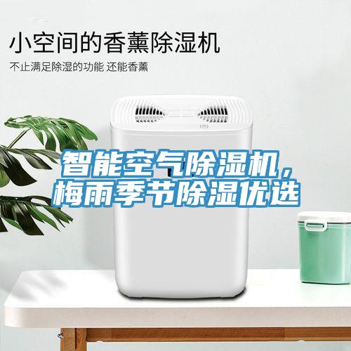 智能空氣除濕機，梅雨季節(jié)除濕優(yōu)選