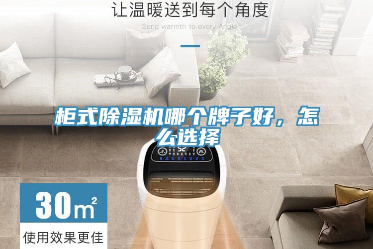 柜式除濕機哪個牌子好，怎么選擇