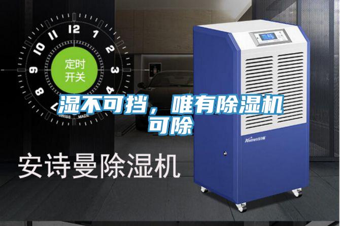 濕不可擋，唯有除濕機可除