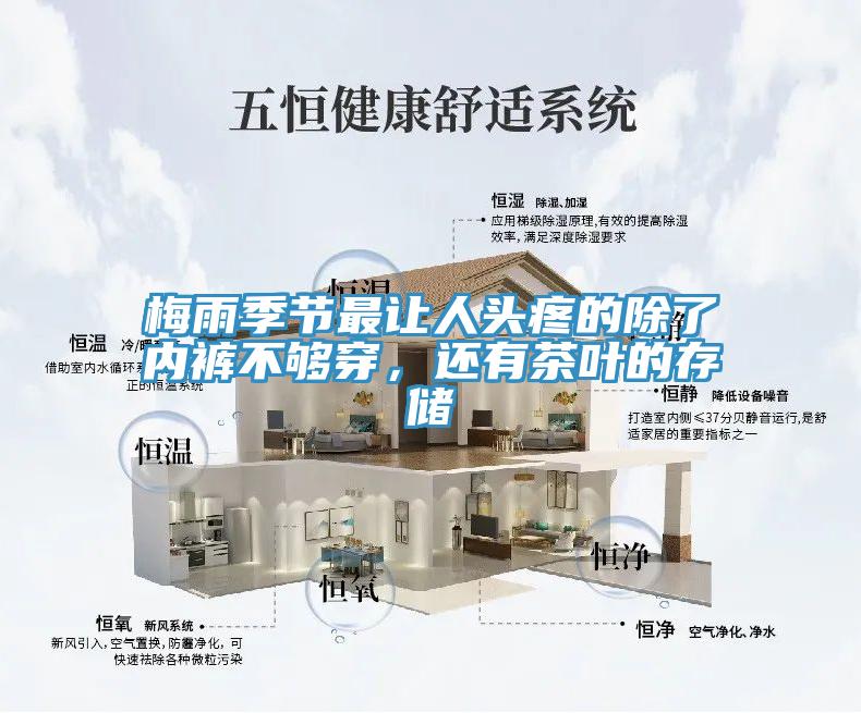 梅雨季節(jié)最讓人頭疼的除了內(nèi)褲不夠穿，還有茶葉的存儲