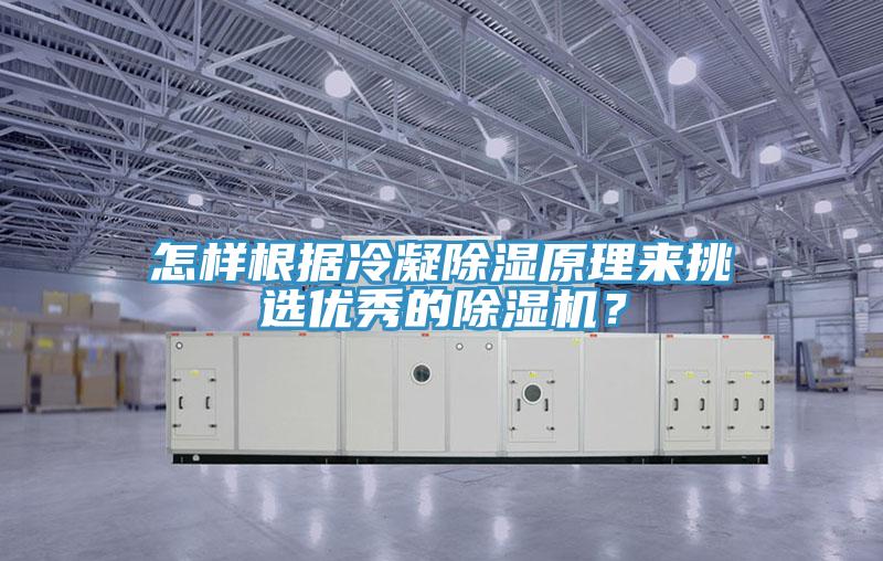 怎樣根據(jù)冷凝除濕原理來挑選優(yōu)秀的除濕機？