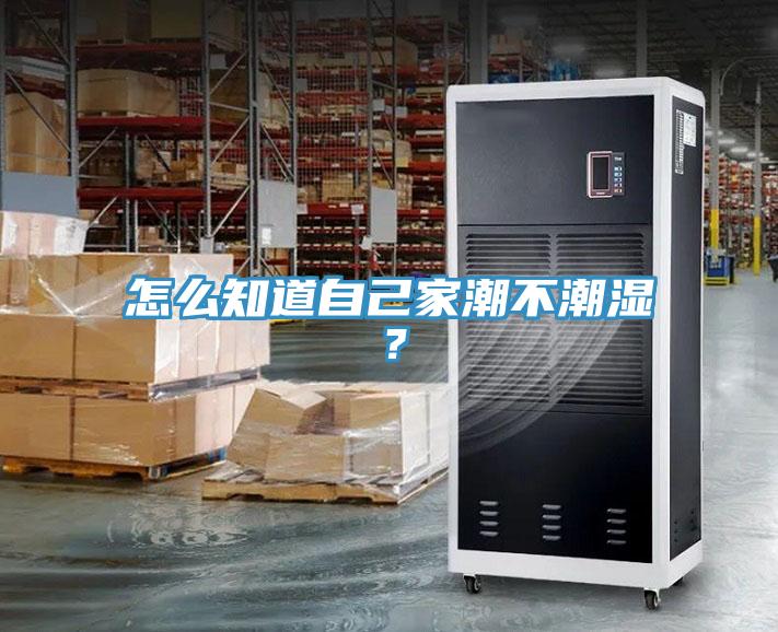 怎么知道自己家潮不潮濕？