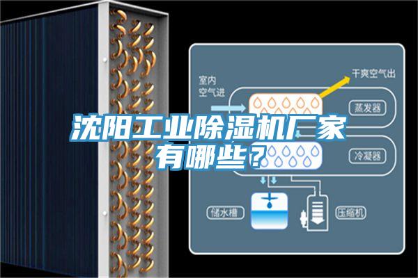 沈陽工業(yè)除濕機(jī)廠家有哪些？