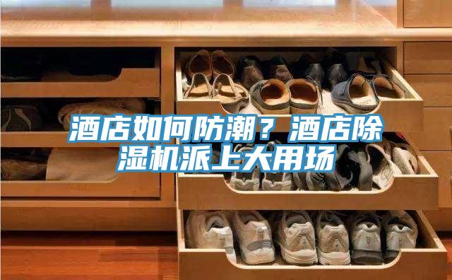 酒店如何防潮？酒店除濕機派上大用場