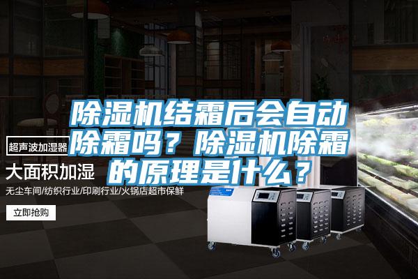 除濕機(jī)結(jié)霜后會自動除霜嗎？除濕機(jī)除霜的原理是什么？