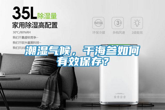 潮濕氣候，干海參如何有效保存？