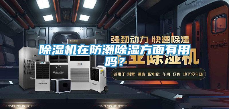 除濕機(jī)在防潮除濕方面有用嗎？