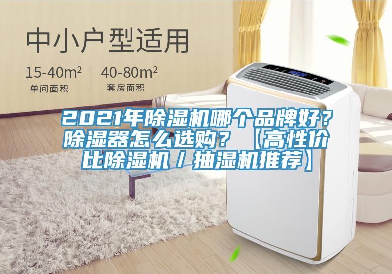 2021年除濕機(jī)哪個品牌好？除濕器怎么選購？【高性價比除濕機(jī)／抽濕機(jī)推薦】