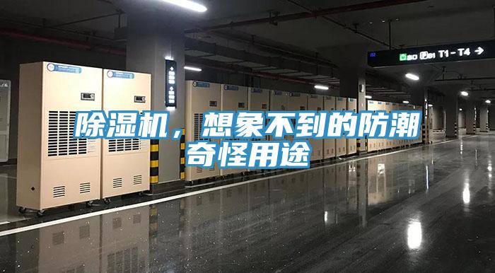 除濕機，想象不到的防潮奇怪用途