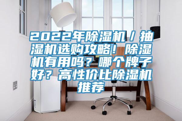 2022年除濕機／抽濕機選購攻略！除濕機有用嗎？哪個牌子好？高性價比除濕機推薦