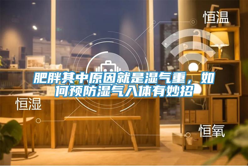 肥胖其中原因就是濕氣重，如何預(yù)防濕氣入體有妙招