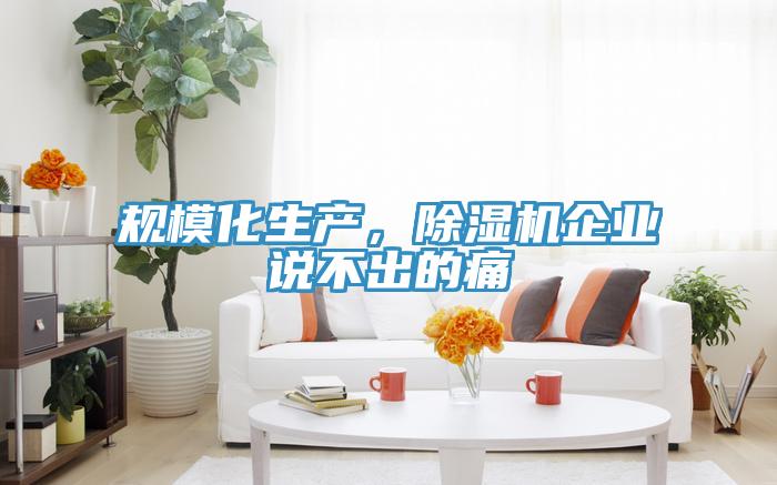 規(guī)?；a(chǎn)，除濕機企業(yè)說不出的痛