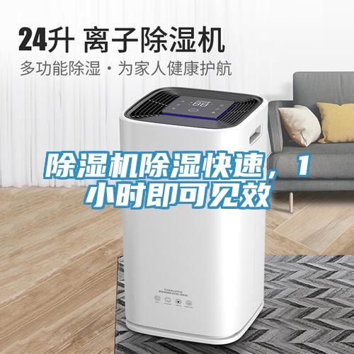 除濕機(jī)除濕快速，1小時(shí)即可見效