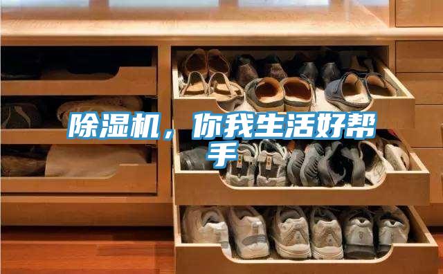 除濕機，你我生活好幫手